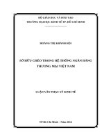 Sở hữu chéo trong hệ thống ngân hàng thương mại việt nam 