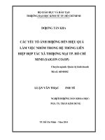 Các yếu tố ảnh hưởng đến hiệu quả làm việc nhóm trong hệ thống liên hiệp hợp tác xã thương mại tp  hồ chí minh 