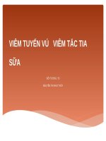 05 VIÊM TUYẾN vú – tắc TIA sữa