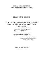 Các yếu tố ảnh hưởng đến tỷ suất sinh lời tại các ngân hàng TMCP việt nam 