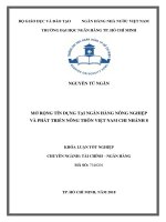 Mở rộng tín dụng tại ngân hàng nông nghiệp và phát triển nông thôn việt nam chi nhánh 8 