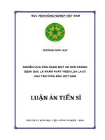 Nghiên cứu ứng dụng một số gen kháng bệnh bạc lá nhằm phát triển lúa lai ở các tỉnh phía bắc việt nam 