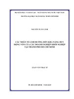 Các nhân tố ảnh hưởng đến khả năng huy động vốn của các doanh nghiệp khởi nghiệp tại thành phố hồ chí minh 