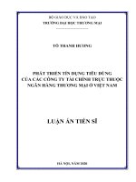 Phát triển tín dụng tiêu dùng của các công ty tài chính trực thuộc các ngân hàng thương mại ở việt nam (luận án tiến sĩ) 