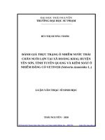 Đánh giá thực trạng ô nhiễm nước thải chăn nuôi lợn tại xã hoàng khai, huyện yên sơn, tỉnh tuyên quang và kiểm soát ô nhiễm bằng cỏ vetiver 