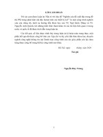 Nghiên cứu đề xuất đặc trưng đồ thị PSI trong phát hiện mã độc botnet trên các thiết bị iot  