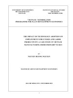 The impact of technology adoption on employment structures and labor productivity a case study in vietnam manufacturing firms form 2007 to 2013 