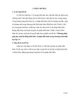 SKKN  phương pháp giúp học sinh hệ thống kiến thức về phép biến hình trong chương trình hình học lớp 11