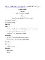 Giáo án hoạt động trải nghiệm sách chân trời sáng tạo 