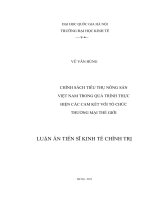 Chích sách tiêu thụ nông sản việt nam trong quá trình thực hiện các cam kết với tổ chức thương mại thế giới 