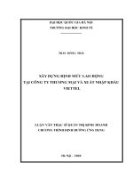 Xây dựng định mức lao động tại công ty thương mại và xuất nhập khẩu viettel 