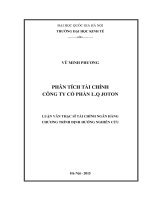Phân tích tài chính công ty cổ phần l q joton    