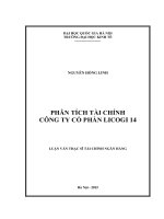 Phân tích tài chính công ty cổ phần licogi 14    