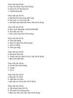 Tiếng việt thực hành 