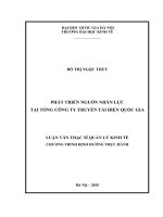 Phát triển nguồn nhân lực tại tổng công ty truyền tải điện quốc gia   