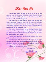 Nâng cao năng lực cạnh tranh của mạng di động VinaPhone tại Thừa Thiên Huế