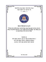 Phân tích chiến lược marketing cung ứng giá trị theo chu kỳ sống sản phẩm iPhone 4 của Apple khi sản phẩm vận động qua các giai đoạn của chu kỳ sống