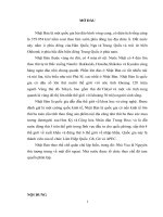 Tiểu luận cao học,  THÊ CHẾ CHÍNH TRỊ ĐƯƠNG đại   THỂ CHẾ NHẬT bản