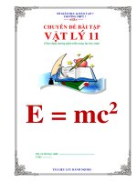 CHUYÊN đề bài tập trắc nghiệm  vật lý 11 theo định hướng phát triển năng lực học sinh có đáp án (đầy đủ các dạng) 