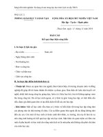 BÁO CÁO KẾT QUẢ SÁNG KIẾN KINH NGHIỆM 2019-2020 (làm lại)