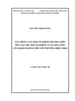 Tác động của trải nghiệm thương hiệu đến giá trị trải nghiệm và sự hài lòng của khách hàng đối với thương hiệu nike 