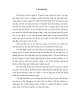 Tiểu luận cao học, thể chế chính trị ở xingapore