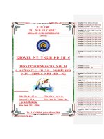 Phân tích chính sách sản phẩm của Công ty Cổ phần đường Biên Hòa đối với nhóm sản phẩm đường