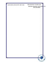 Kỹ thuật thu thập bằng chứng kiểm toán trong kiểm toán báo cáo tài chính tại công ty TNHH grant thornton (việt nam) 