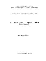 Luận văn kỹ thuật sản xuất giống và nuôi cá biển sản xuất giống và nuôi cá chẽm (lates calcarifer) 