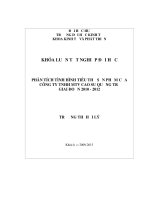 Phân tích tình hình tiêu thụ sản phẩm của Công ty TNHH MTV Cao su Quảng Trị giai đoạn 20102012