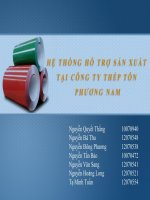 Bài thuyết trình Hệ thống hỗ trợ sản xuất tại Công ty Thép tôn Phương Nam