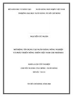 Mở rộng tín dụng tại ngân hàng nông nghiệp và phát triển nông thôn việt nam chi nhánh 8 