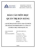 Lập kế hoạch bán hàng cho sản phẩm trà bí đao Wonderfarm của công ty cổ phần thực phẩm Quốc tế