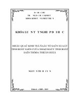 Hiệu quả kinh tế đầu tư sản xuất tinh bột sắn của nhà máy tinh bột sắn Thừa Thiên Huế