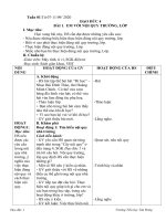 dao duc 1 TUẦN 19( SÁCH CÁNH DIỀU)