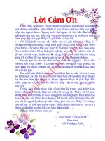 Thực trạng và giải pháp thu hút vốn đầu tư trực tiếp nước ngoài vào các khu công nghiệp của tỉnh Thừa Thiên Huế