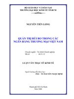 (Luận văn thạc sĩ) Quản trị rủi ro trong các ngân hàng thương mại Việt Nam