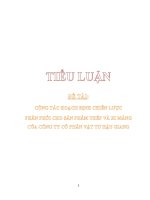 Hoạch định chiến lược phân phối cho sản phẩm thép và xi măng tại Công ty cổ phần vật tư Hậu Giang