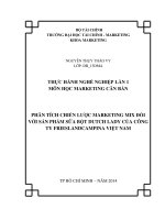 Phân tích chiến lược Marketing Mix đối với sản phẩm sữa bột Dutch Lady của công ty Frieslandcampina Việt Nam