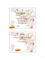 Bài thuyết trình Ý tưởng và kế hoạch kinh doanh hoa cỏ khô