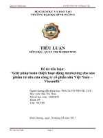 Giải pháp hoàn thiện hoạt động marketing cho sản phẩm từ sữa của công ty cổ phần sữa Việt Nam – Vinamilk