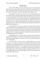 Thực trạng và một số giải pháp nhằm nâng cao hiệu quả công tác quản trị nhân lực tại công ty quảng cáo Hatuba