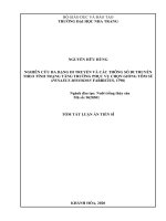 Nghiên cứu đa dạng di truyền và các thông số di truyền theo tính trạng tăng trưởng phục vụ chọn giống tôm sú (tt) 