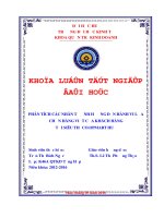 Phân tích các nhân tố ảnh hưởng đến hành vi lựa chọn hàng Việt của khách hàng tại Siêu thị Co.opmart Huế
