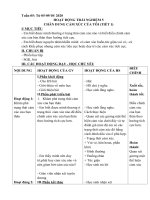 GIÁO ÁN HOẠT ĐỘNG TRẢI NGHIỆM 5 (TUẦN 5TUẦN 8)