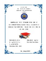 Giải pháp nâng cao động lực làm việc cho Giảng viên trường Đại học Sư phạm  Đại học Huế