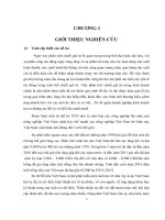 Phân tích chuỗi giá trị hồ tiêu Huyện Bù Đốp tỉnh Bình Phước