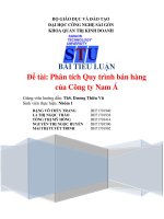 Môn quản trị bán hàng: Phân tích Quy trình bán hàng của Công ty Nam Á