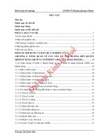 Các yếu tố ảnh hưởng đến quyết định sử dụng dịch vụ Internet ADSL của khách hàng cá nhân tại Công ty cổ phần Viễn thông FPT Chi nhánh Huế