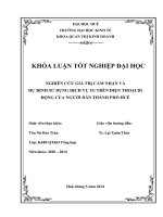 Nghiên cứu giá trị cảm nhận và dự định sử dụng dịch vụ 3G trên điện thoại di động của người dân thành phố Huế
